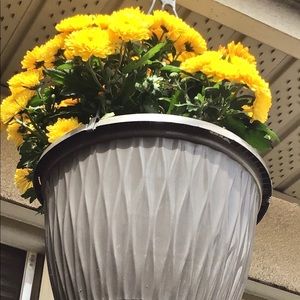 Meet your Posher, Johnlee